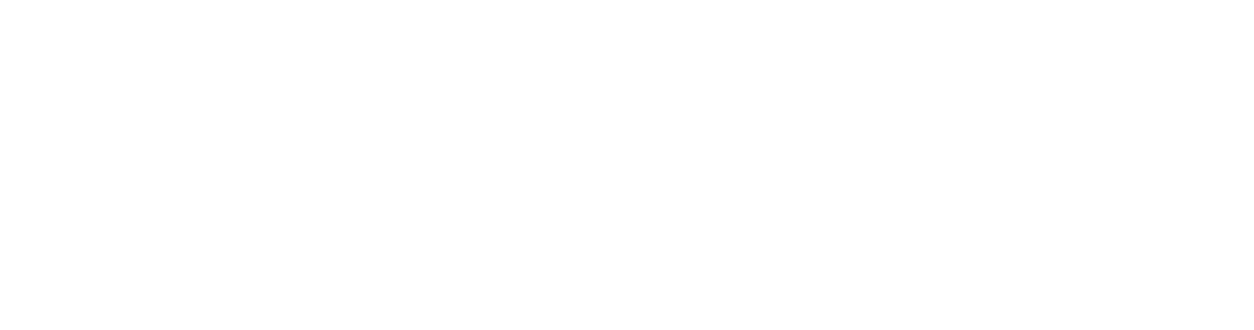 Shree Shyam Properties